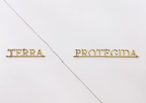 Ivan Grilo, Ivan, Grilo, Terra Protegida, 2019, bronze, variable dimensions