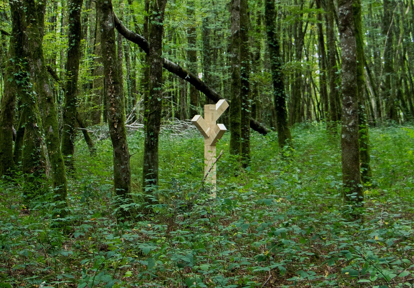 Luca Federico Ferrero, Per fare un albero ci vuole il legno, Domaine de Boisbuchet