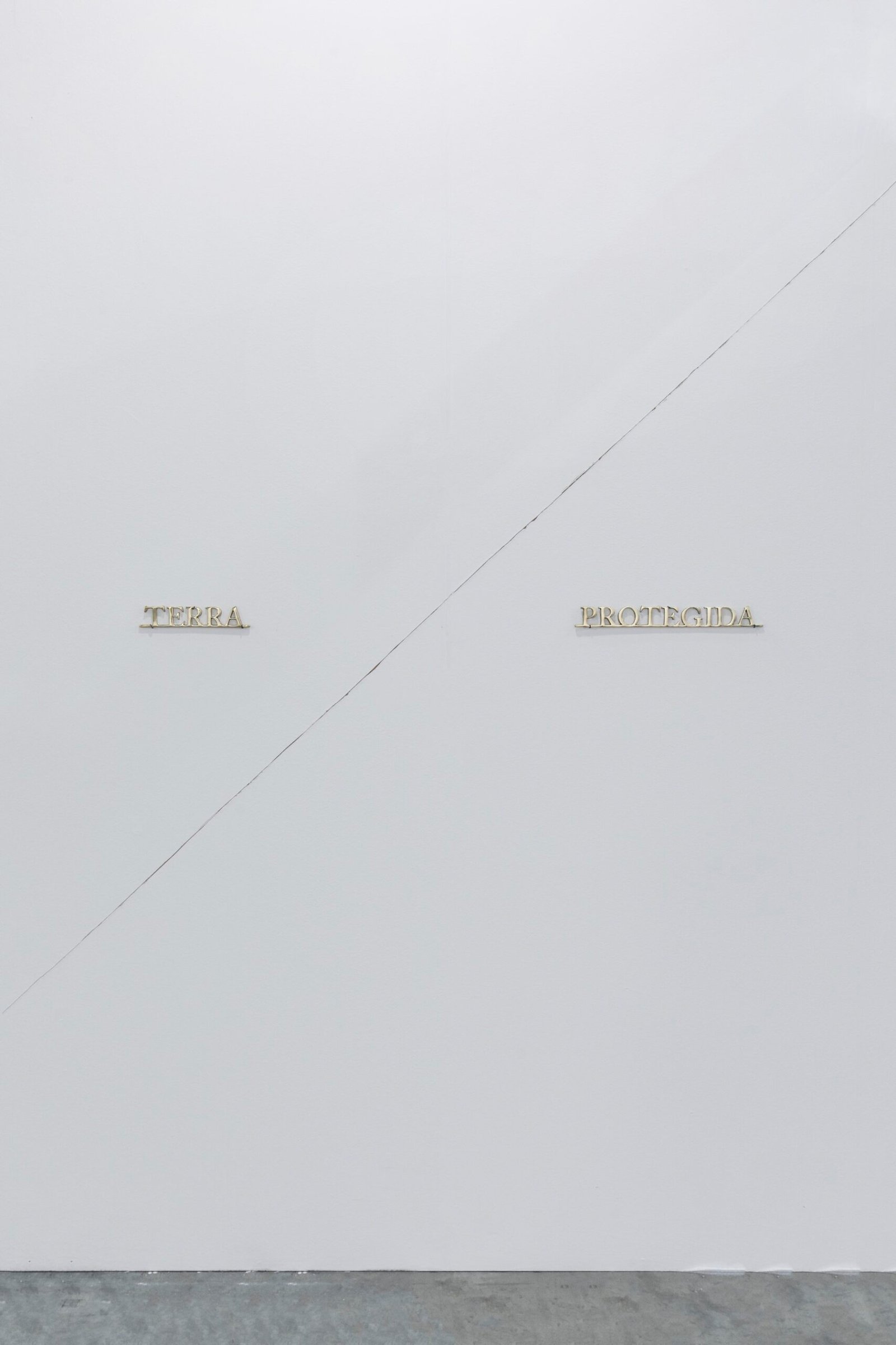 Société Interludio Artissima 2025, Ivan Grilo